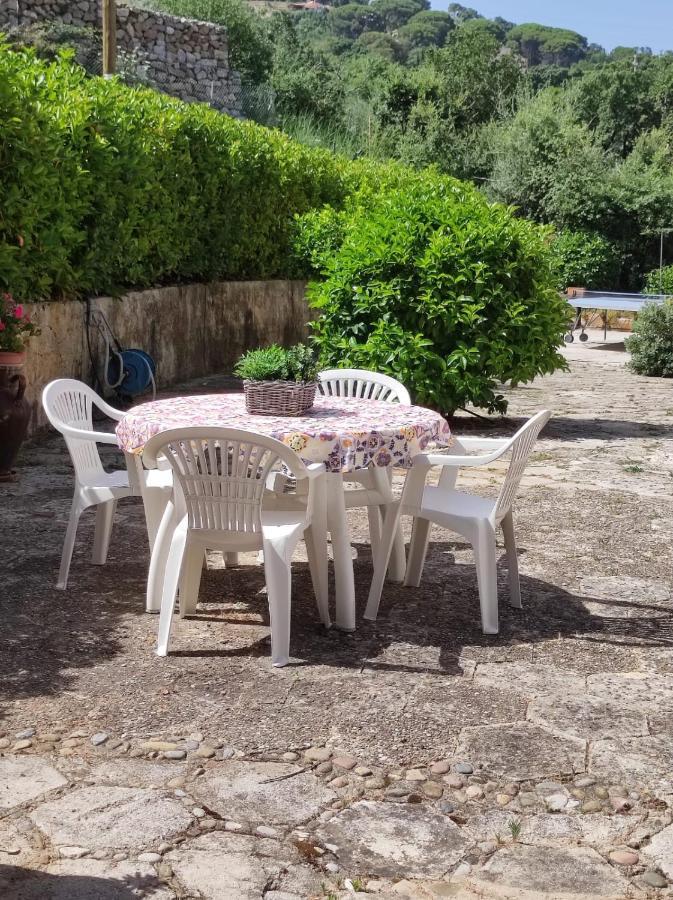 Villa Bouganvilla Cefalù Exterior foto